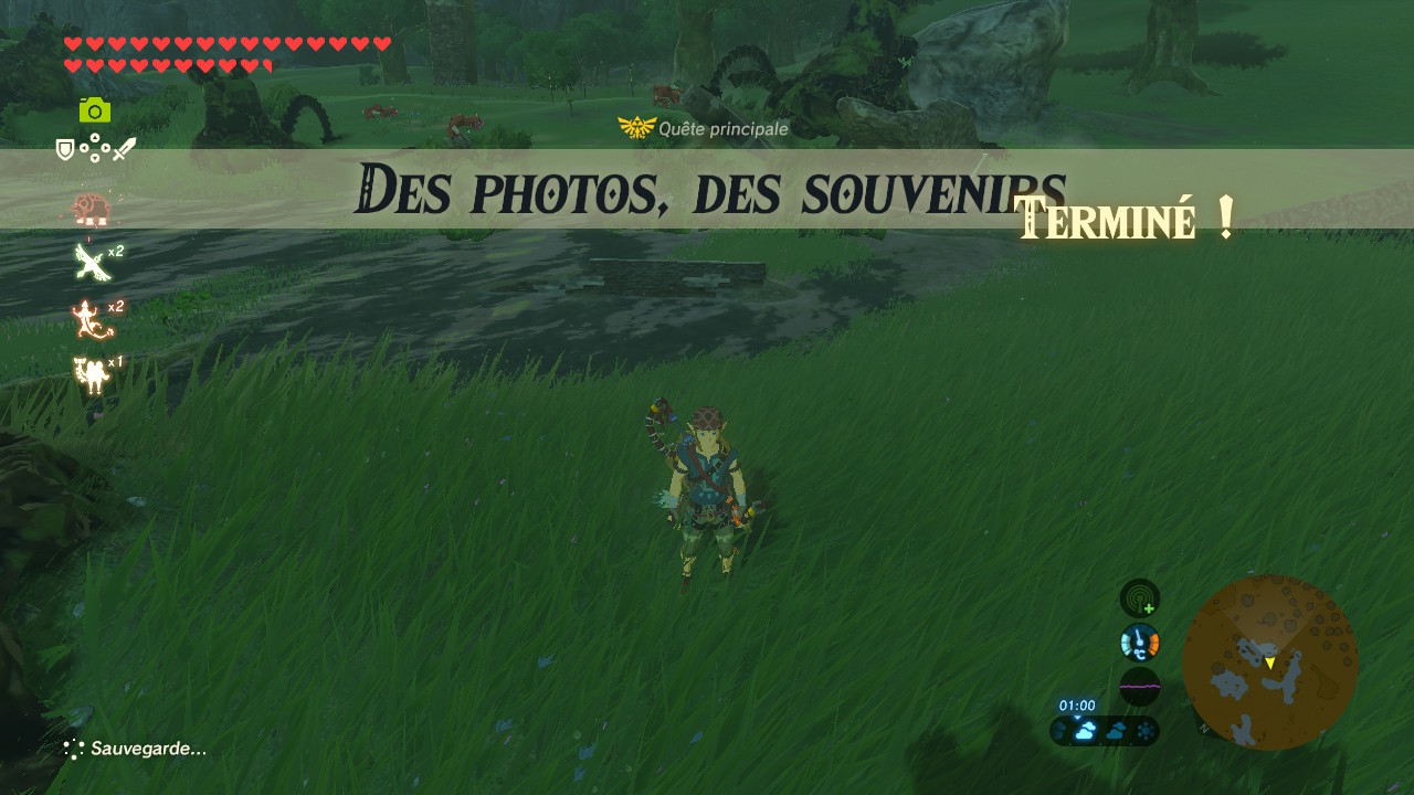 image en grand